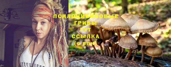 ECSTASY Беломорск