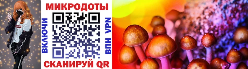 Псилоцибиновые грибы ЛСД Сковородино